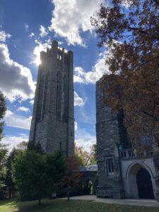 Stopped in my tracks!