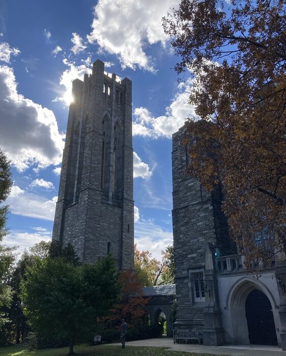 Stopped in my tracks!