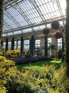 Just a bit of maintenance required