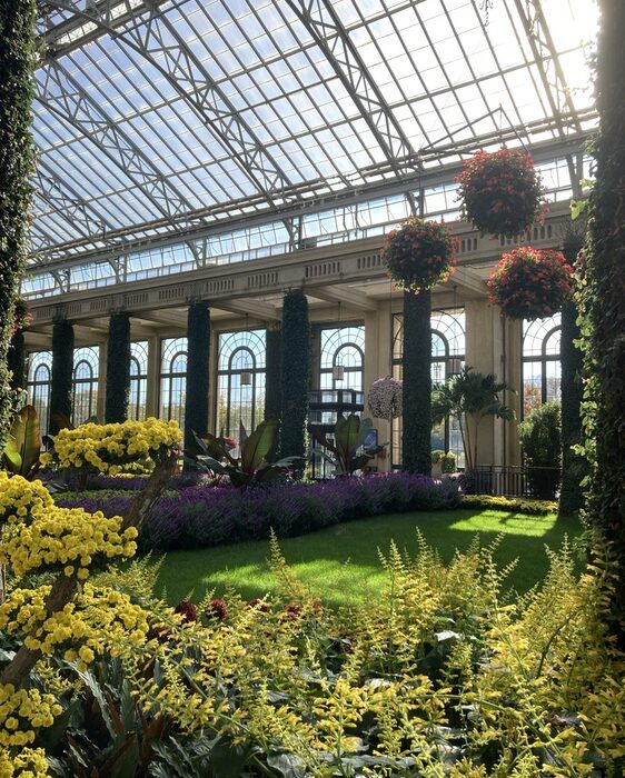 Just a bit of maintenance required