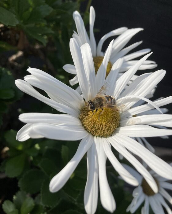 Closer. Closer. Close enough.