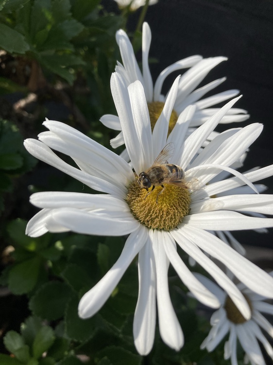 Closer. Closer. Close enough.