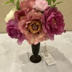 Spectacular Peony blooms
